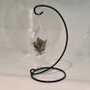 HCH0408 - Hanging Glass Terrarium - 2"x9" HCH0408 - Hanging Glass Terrarium - 2"x9"