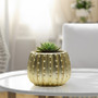 CUD2505GD Medium Matte Gold Ceramic Cactus Pot - 5.7" H (8 pcs) CUD2505GD Medium Matte Gold Ceramic Cactus Pot - 5.7" H (8 pcs)