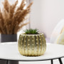 CUD2505GD Medium Matte Gold Ceramic Cactus Pot - 5.7" H (8 pcs) CUD2505GD Medium Matte Gold Ceramic Cactus Pot - 5.7" H (8 pcs)