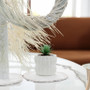 CUD8904WT Small Unique White Ceramic Pot - 4.5" W x 4" H (24 pcs) CUD8904WT Small Unique White Ceramic Pot - 4.5" W x 4" H (24 pcs)