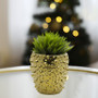 CUB6107GD Large Gold Spike Pot - 6.7" H (6 pcs) CUB6107GD Large Gold Spike Pot - 6.7" H (6 pcs)