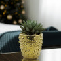 CUB6107GD Large Gold Spike Pot - 6.7" H (6 pcs) CUB6107GD Large Gold Spike Pot - 6.7" H (6 pcs)