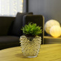 CUB6107GD Large Gold Spike Pot - 6.7" H (6 pcs) CUB6107GD Large Gold Spike Pot - 6.7" H (6 pcs)