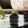 CUD8905BK - Medium Unique Black Ceramic Pot - 5.1" CUD8905BK - Medium Unique Black Ceramic Pot - 5.1"