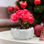 CUB8910WT - White Unique Ceramic Bowl - 10.25"W x 4.75"H CUB8910WT - White Unique Ceramic Bowl - 10.25"W x 4.75"H