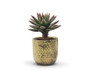 CUC8504SG - Medium Antique Gold Ceramic Pot - 4.1" H CUC8504SG - Medium Antique Gold Ceramic Pot - 4.1" H
