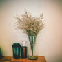 VCY0614 - Clear Cylinder Glass Vase - 6" x 14"H (6 pcs/case) VCY0614 - Clear Cylinder Glass Vase - 6" x 14"H (6 pcs/case)