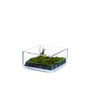 VBV0804 - Block Glass Vase - 8"x4" VBV0804 - Block Glass Vase - 8"x4"