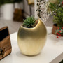 CUD5108GD - Gold Half Moon Vase - 8.5" CUD5108GD - Gold Half Moon Vase - 8.5"