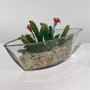 VCH1101 - Clear Boat Vase - 8.5" x 3" VCH1101 - Clear Boat Vase - 8.5" x 3"