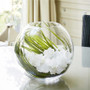 VBW0006 Clear Bubble Bowl Glass Vase - 6" (12PCS) VBW0006 Clear Bubble Bowl Glass Vase - 6" (12PCS)