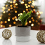 CUC1105 - Medium Two Tone Ceramic Cylinder Vase - 4.8" H CUC1105 - Medium Two Tone Ceramic Cylinder Vase - 4.8" H