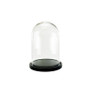 VDM1116WB - Medium Glass Dome Cloche with Black Wood Base - 16"
