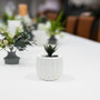 CUD0304WT Small Unique Modern White Pot - 4" H (24 pcs) CUD0304WT Small Unique Modern White Pot - 4" H (24 pcs)