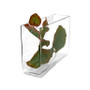 VBV3107 - Rectangular Glass Block Vase - 3" x 10" x 7" (6 pcs/case) VBV3107 - Rectangular Glass Block Vase - 3" x 10" x 7" (6 pcs/case)