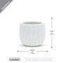 CUD0306WT Large Unique Modern White Pot - 6" H (8 pcs) CUD0306WT Large Unique Modern White Pot - 6" H (8 pcs)