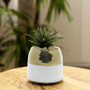 CUB1805GW - White Ceramic Pot with Gold Rim - 6" W x 5.1" H CUB1805GW - White Ceramic Pot with Gold Rim - 6" W x 5.1" H