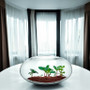 VBW1507 - Clear Flat Oval Garden Bowl Vase - 15" W x 7.5"H VBW1507 - Clear Flat Oval Garden Bowl Vase - 15" W x 7.5"H