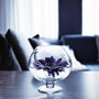VBW0909 - Bowl Glass Vase with Stem - 9"x9" VBW0909 - Bowl Glass Vase with Stem - 9"x9"