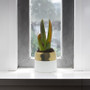 CUB1806GW White Ceramic Pot with Gold Rim - 7.5" W x 6.5" H CUB1806GW White Ceramic Pot with Gold Rim - 7.5" W x 6.5" H