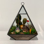 GET0308BK Black Raised Pyramid Geometric Glass Terrarium - 8"H (6 pcs)