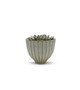 CUB8504WT - Medium Fancy White Acorn Ceramic Vase - 4" H CUB8504WT - Medium Fancy White Acorn Ceramic Vase - 4" H