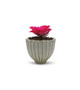 CUB8504WT - Medium Fancy White Acorn Ceramic Vase - 4" H CUB8504WT - Medium Fancy White Acorn Ceramic Vase - 4" H