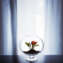 VBW0916 - Bowl Glass Vase with Stem - 9"x16"  (1 pc) VBW0916 - Bowl Glass Vase with Stem - 9"x16"  (1 pc)