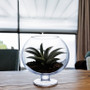 VBW0916 - Bowl Glass Vase with Stem - 9"x16"  (1 pc) VBW0916 - Bowl Glass Vase with Stem - 9"x16"  (1 pc)