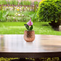 CUB5306RG Unique Textured Rose Gold Pot - 6" W x 5.7" H (12 pcs) CUB5306RG Unique Textured Rose Gold Pot - 6" W x 5.7" H (12 pcs)