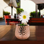 CUB5306RG Unique Textured Rose Gold Pot - 6" W x 5.7" H (12 pcs) CUB5306RG Unique Textured Rose Gold Pot - 6" W x 5.7" H (12 pcs)