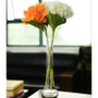 VBD0112 - Clear Bud Vase - 12"H (24 pcs/case)