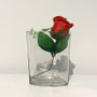 VEV6006 - Oval Eye Glass Vase - 6" VEV6006 - Oval Eye Glass Vase - 6"