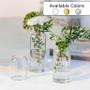 Medium Glass Cylinder Domed Top Bud Vase - 5.5" (Various Colors) Medium Glass Cylinder Domed Top Bud Vase - 5.5" (Various Colors)