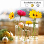 Large Glass Cylinder Domed Top Bud Vase - 8" (Various Colors) Large Glass Cylinder Domed Top Bud Vase - 8" (Various Colors)