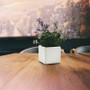 Ceramic Cube Vase - 5"H (Various Colors) Ceramic Cube Vase - 5"H (Various Colors)