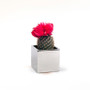 Ceramic Cube Vase - 3.75"H (Various Colors) Ceramic Cube Vase - 3.75"H (Various Colors)