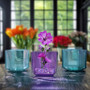VCB0005ALA - Everyday Lavender Cube Glass Candle Holder / Vase - 5" VCB0005ALA - Everyday Lavender Cube Glass Candle Holder / Vase - 5"
