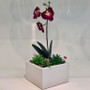 Short Square Ceramic Block Vase - 5.75" x 4" Short Square Ceramic Block Vase - 5.75" x 4"