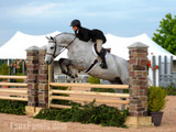 Advantages of Building Horse Jumps with Faux Pillars