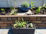 DIY Raised Garden Beds with Regency Rock