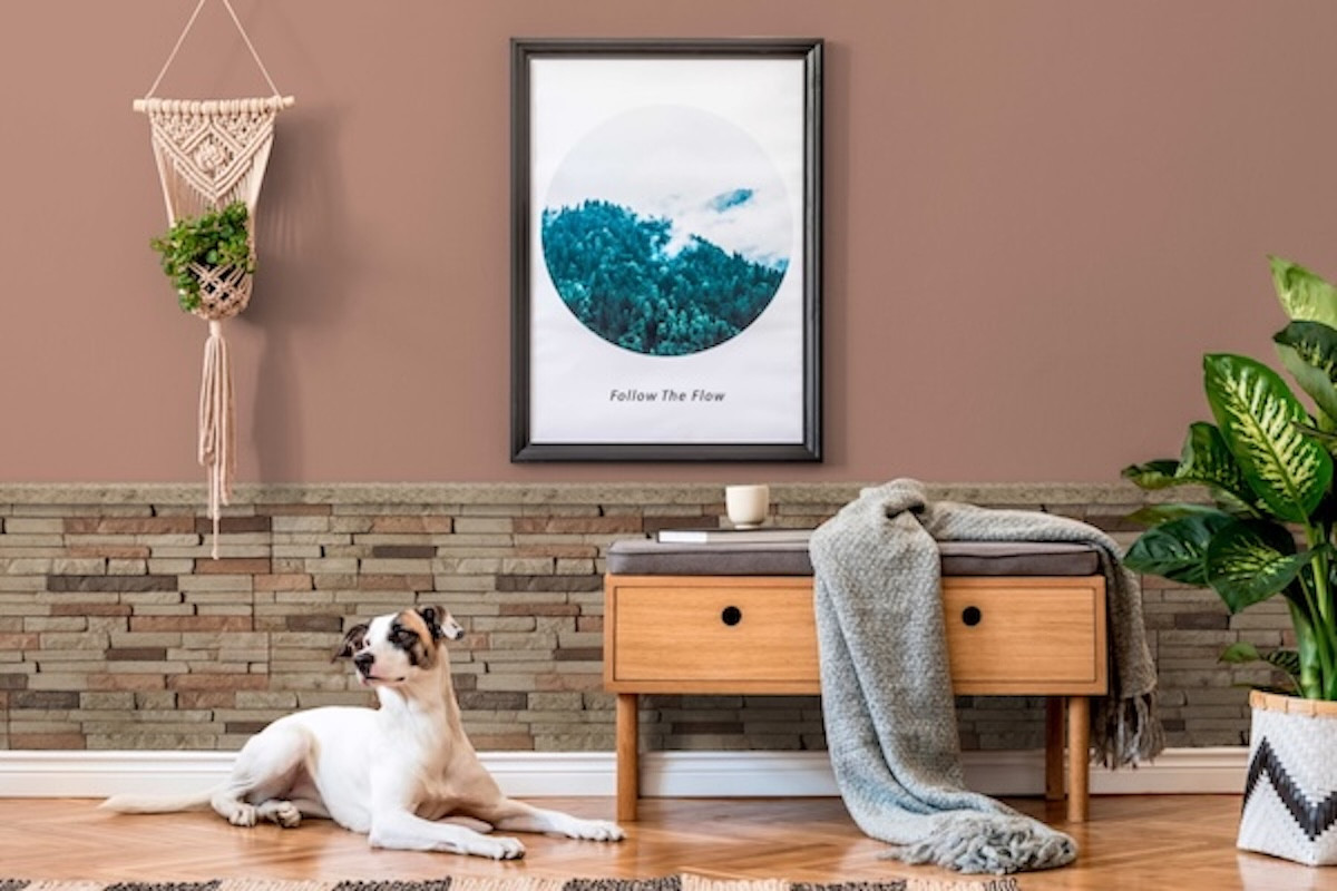 Image showcasing 6 Wainscoting Ideas to Elevate Your Interior - Barron Designs