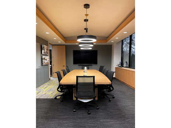fSorb panels on the ceiling of a conference room.-thumb