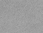 Frosted Gray