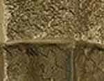Saddle Beige