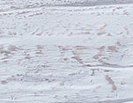 Whitewash