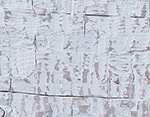 Whitewash