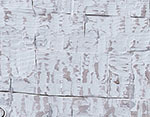 Whitewash