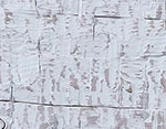 Whitewash