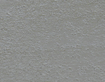 Motley Gray